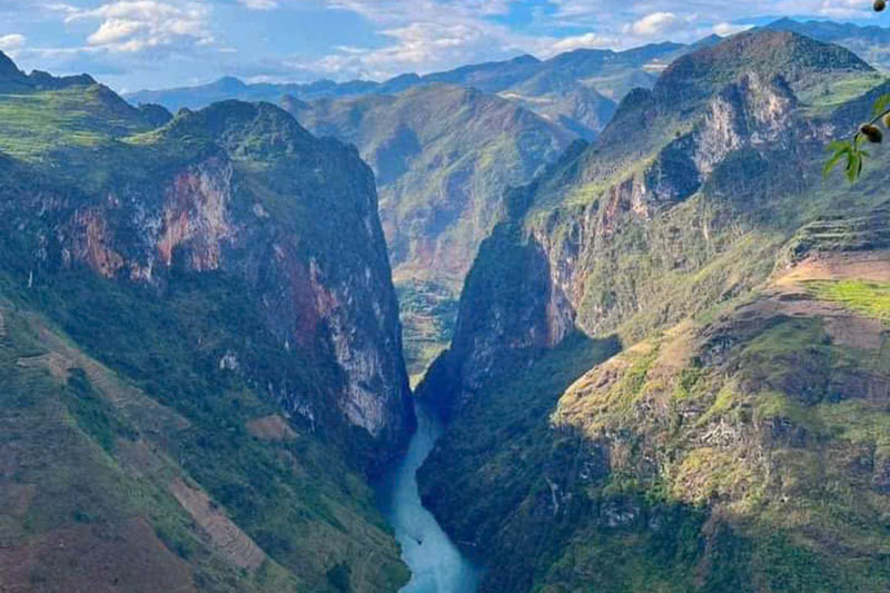 brand